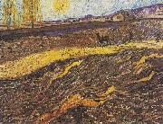 Vincent Van Gogh Field with plowing farmers painting